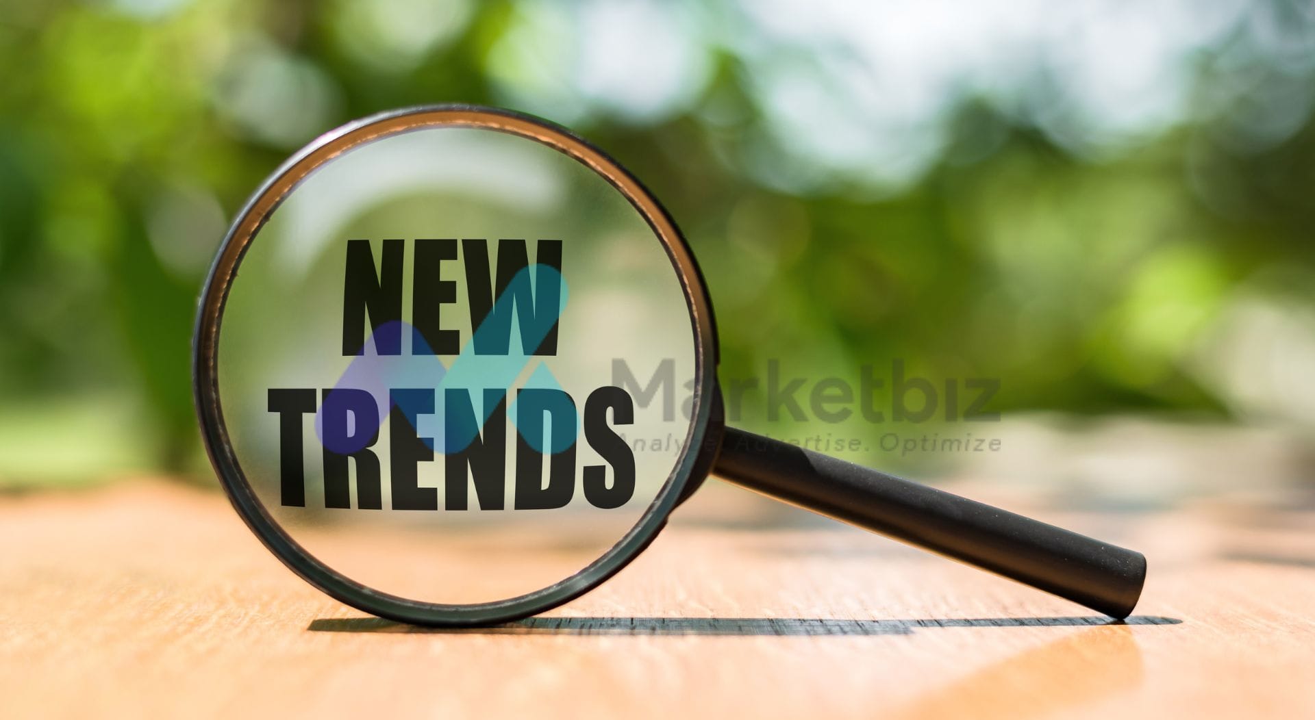 tren seo 2025